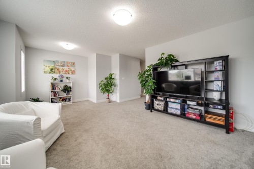 7314 Edgemont Way Nw, Edmonton, AB - Indoor Photo Showing Living Room