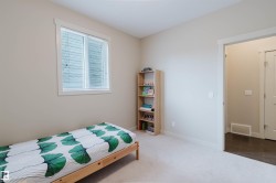 Light-colored carpeting, a white-trimmed window, and neutral wall paint - 