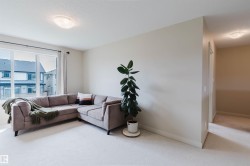 Spacious room with large windows, light-colored walls, and neutral carpeting - 