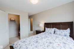 Recessed closet with shelving, light-toned wall paint, and carpeted flooring - 