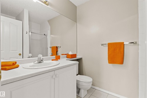 #307 911 Rabbit Hill Rd Nw, Edmonton, AB - Indoor Photo Showing Bathroom