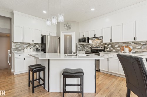 1235 Ormsby Lane Nw, Edmonton, AB - Indoor Photo Showing Kitchen With Stainless Steel Kitchen With Upgraded Kitchen
