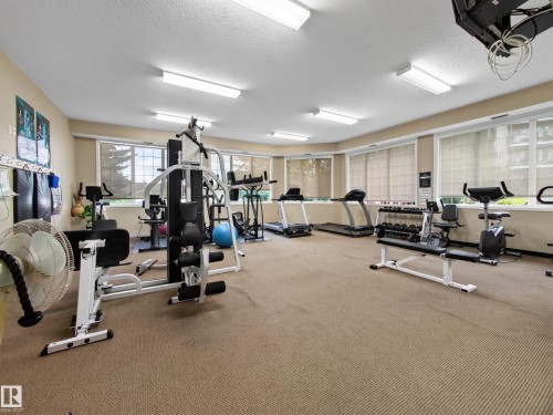 Dedicated fitness room with multiple exercise machines, broad windows, and soft carpeting - #314 237 Youville Dr E Nw, Edmonton, AB - Indoor Photo Showing Gym Room