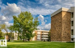 #31 11255 31 AV NW  Edmonton, AB T6J 3V6
