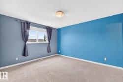 Wall-to-wall carpeting and a ceiling-mounted light fixture - 