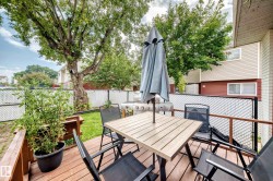 Wood deck with brown railing, enclosed by a chain link fence - 