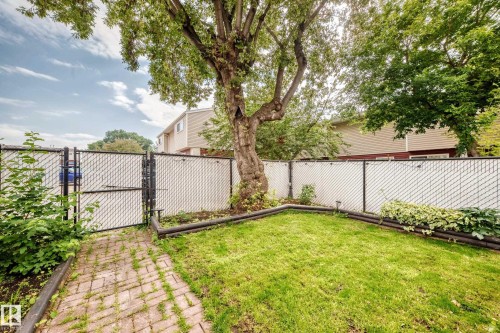 Expansive yard featuring a mature tree, manicured lawn, and brick paver pathway - 64 Habitat Crescent Nw, Edmonton, AB - Outdoor