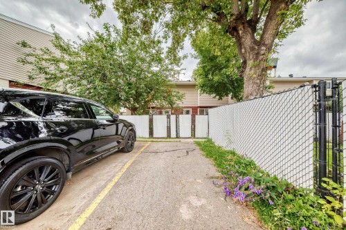 Paved parking space with marked lines, secured by a chain-link fence with privacy slats - 64 Habitat Crescent Nw, Edmonton, AB - Outdoor