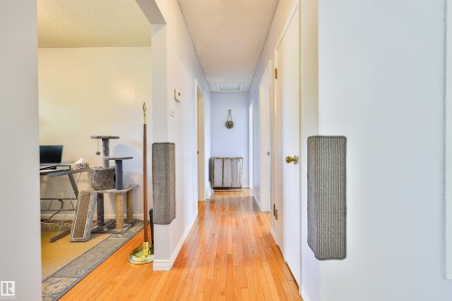 Central hallway featuring wood-finish flooring and bright overhead lighting - 3824 111B Street Nw, Edmonton, AB - Indoor Photo Showing Other Room