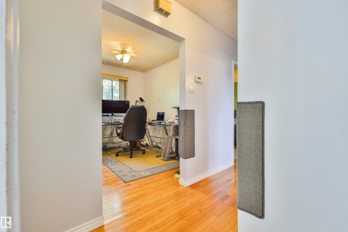 Light wood-finish flooring extending into an adjacent room with a window, ceiling fan, and painted walls - 3824 111B Street Nw, Edmonton, AB - Indoor