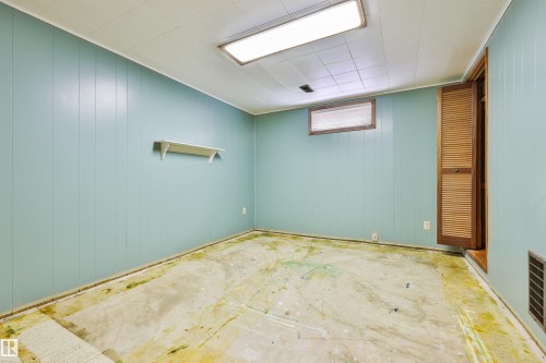 Basement Bedroom One - 3824 111B Street Nw, Edmonton, AB - Indoor