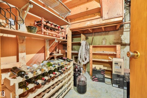 Under-stairs storage, but it can be your wine room with the grapes in the backyard. - 3824 111B Street Nw, Edmonton, AB - Indoor Photo Showing Other Room
