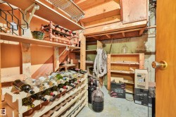 Under-stairs storage, but it can be your wine room with the grapes in the backyard. - 
