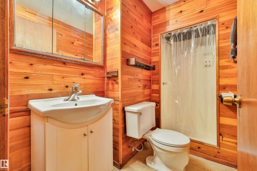Basement Bathroom - 3824 111B Street Nw, Edmonton, AB - Indoor Photo Showing Bathroom