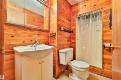 Basement Bathroom - 