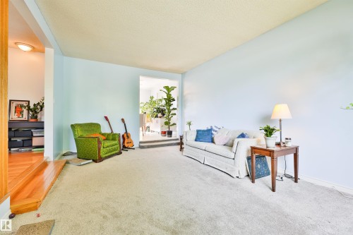 Living room - 3824 111B Street Nw, Edmonton, AB - Indoor