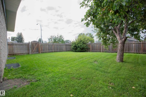 Expansive backyard with a manicured lawn, established tree, and full perimeter wood fence - 9107 58 Street Nw, Edmonton, AB - Outdoor With Backyard