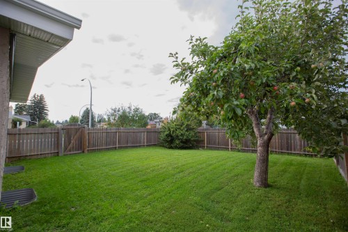 Expansive backyard with mature shade trees and lush, level lawn bordered by wood-finish fencing - 9107 58 Street Nw, Edmonton, AB - Outdoor With Backyard
