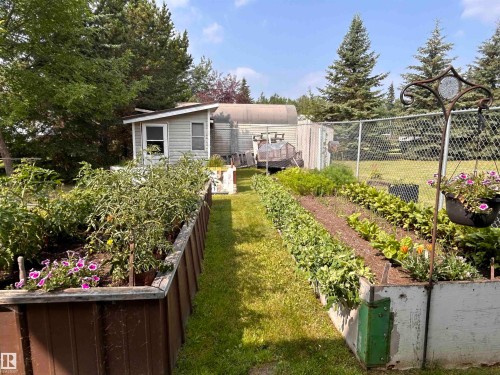 1639 Macfarlane Place, Rural Opportunity M.D., AB - Outdoor