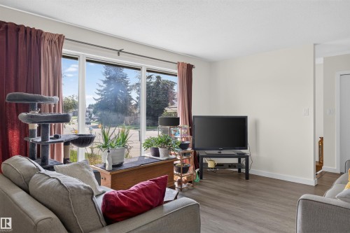 4124 110 Street Nw, Edmonton, AB - Indoor Photo Showing Living Room