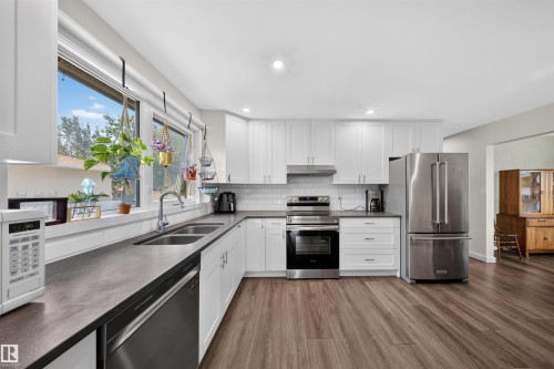 4124 110 Street Nw, Edmonton, AB - Indoor Photo Showing Kitchen With Double Sink