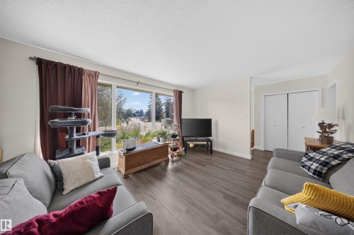 4124 110 Street Nw, Edmonton, AB - Indoor Photo Showing Living Room