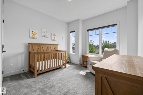 Light gray wall paint, gray carpet flooring, white trim, and multiple windows with black sills - 7314 Morgan Road Nw, Edmonton, AB - Indoor Photo Showing Bedroom