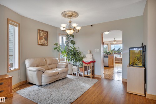 Wood-finish flooring, light neutral wall color, arched doorway, and a decorative ceiling medallion with a chandelier - 4224 53 Ave, Wetaskiwin, AB - Indoor Photo Showing Living Room