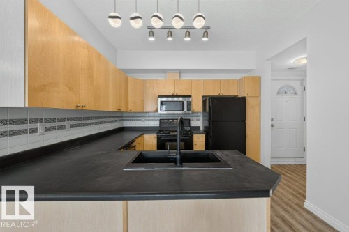 #207 10707 102 Av Nw, Edmonton, AB - Indoor Photo Showing Kitchen With Double Sink