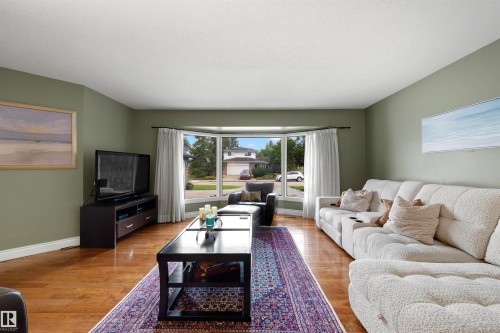 11233 34A Avenue Nw, Edmonton, AB - Indoor Photo Showing Living Room