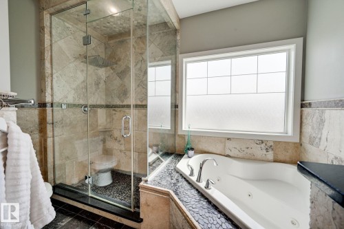 876 Hodgins Road Nw, Edmonton, AB - Indoor Photo Showing Bathroom