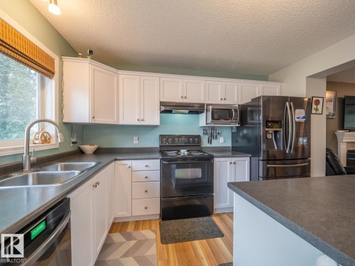 12124 17 Avenue Sw, Edmonton, AB - Indoor Photo Showing Kitchen With Double Sink