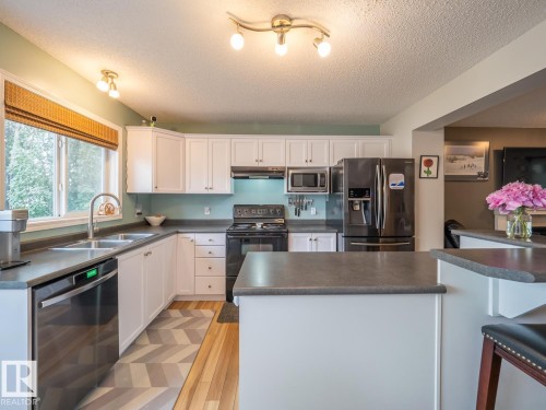 12124 17 Avenue Sw, Edmonton, AB - Indoor Photo Showing Kitchen With Double Sink