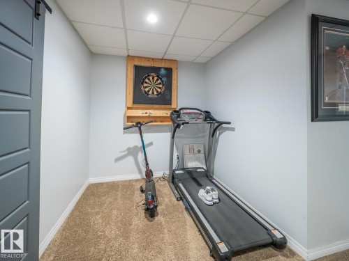 12124 17 Avenue Sw, Edmonton, AB - Indoor Photo Showing Gym Room