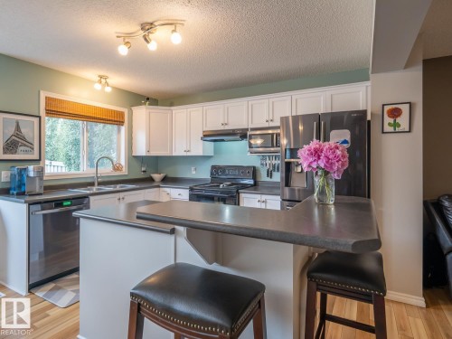12124 17 Avenue Sw, Edmonton, AB - Indoor Photo Showing Kitchen With Double Sink