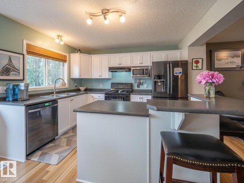 12124 17 Avenue Sw, Edmonton, AB - Indoor Photo Showing Kitchen With Double Sink