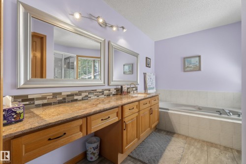 433 Twin Brooks Crescent Nw, Edmonton, AB - Indoor Photo Showing Bathroom