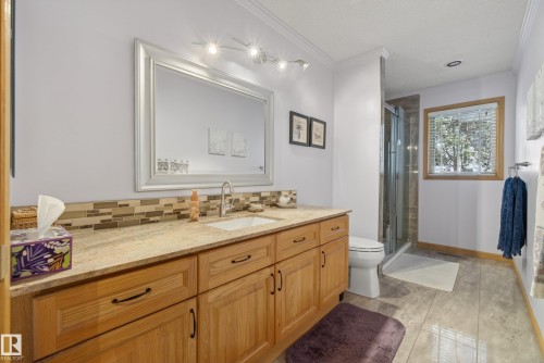 433 Twin Brooks Crescent Nw, Edmonton, AB - Indoor Photo Showing Bathroom