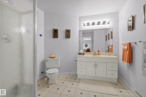 433 Twin Brooks Crescent Nw, Edmonton, AB - Indoor Photo Showing Bathroom