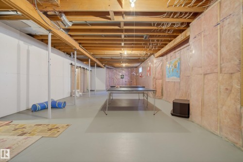 433 Twin Brooks Crescent Nw, Edmonton, AB - Indoor Photo Showing Basement
