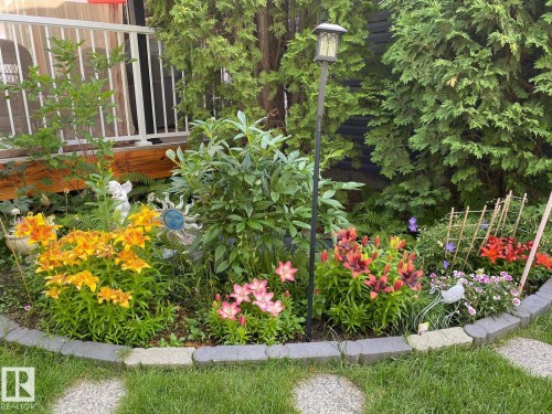 433 Twin Brooks Crescent Nw, Edmonton, AB - Outdoor