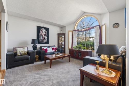 433 Twin Brooks Crescent Nw, Edmonton, AB - Indoor Photo Showing Living Room