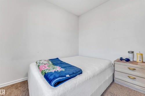 Additional content - 2040 24 Street Nw, Edmonton, AB - Indoor Photo Showing Bedroom