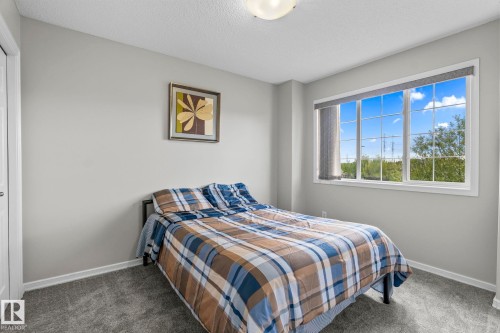 Window with multiple panes, light gray wall paint, white trim, and gray carpeting - 3403 23 Nw, Edmonton, AB - Indoor Photo Showing Bedroom