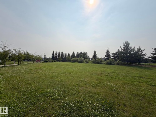Expansive green space featuring a large lawn with clover, mature deciduous trees bordering a paved pathway, and evergreen trees along the perimeter - 466 Chappelle Drive Sw, Edmonton, AB - Outdoor With View