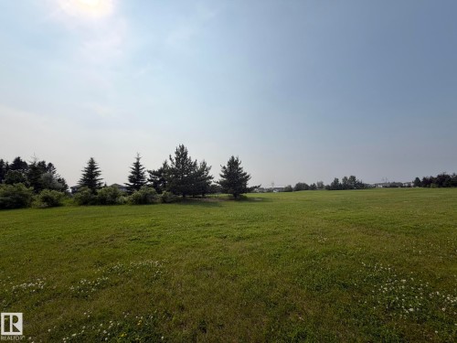 Expansive green field featuring distant evergreen trees and scattered white clover - 466 Chappelle Drive Sw, Edmonton, AB - Outdoor With View