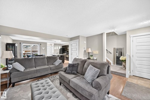 Living room - 466 Chappelle Drive Sw, Edmonton, AB - Indoor Photo Showing Living Room