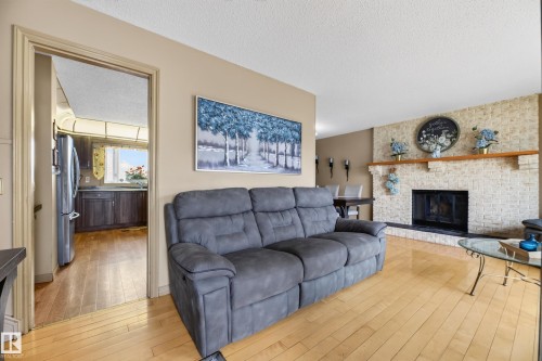 13204 47 Street Nw, Edmonton, AB - Indoor Photo Showing Living Room With Fireplace