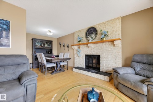 13204 47 Street Nw, Edmonton, AB - Indoor Photo Showing Living Room With Fireplace