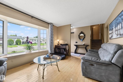 13204 47 Street Nw, Edmonton, AB - Indoor Photo Showing Living Room